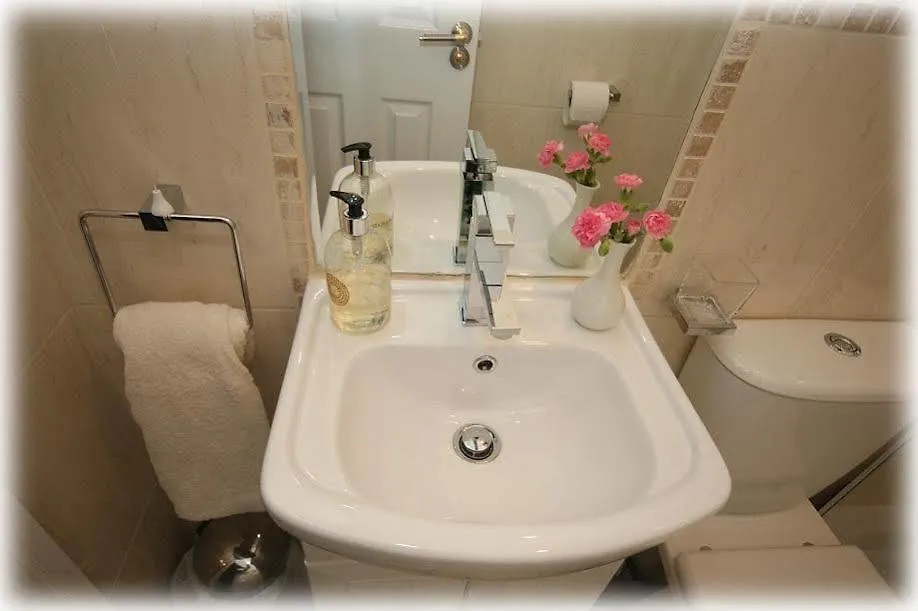 Greenmount Bed And Breakfast Belfast 3*,